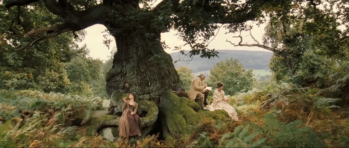 Pride and Prejudice - Oak