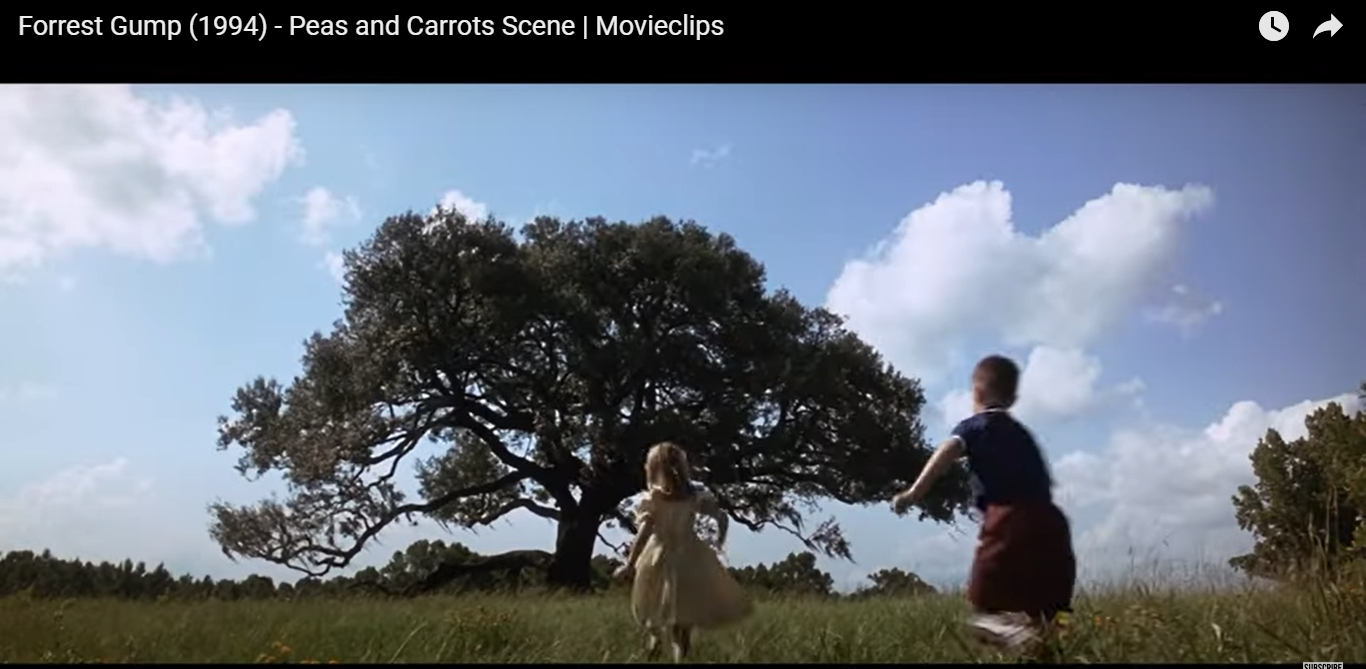 Jenny's Tree - Forest Gump - Oak