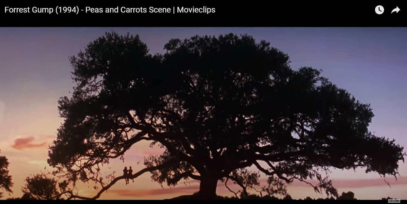 Jenny's Tree - Forest Gump - Oak