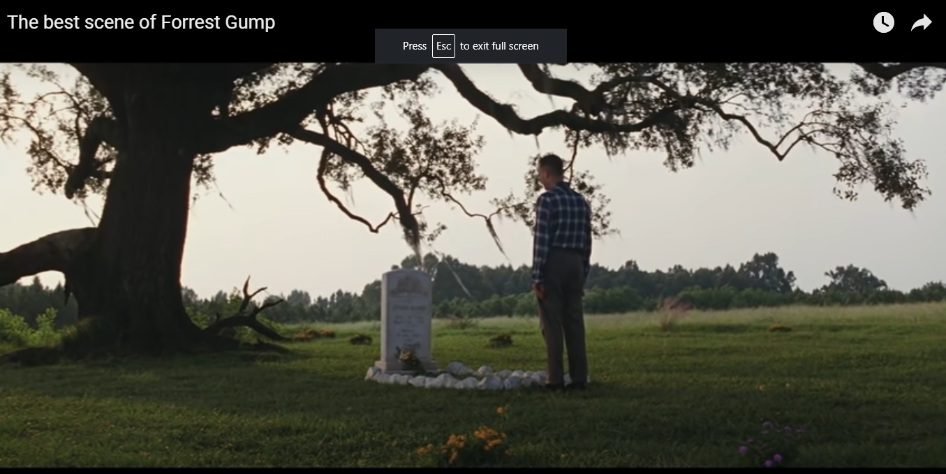 Jenny's Tree - Forest Gump - Oak