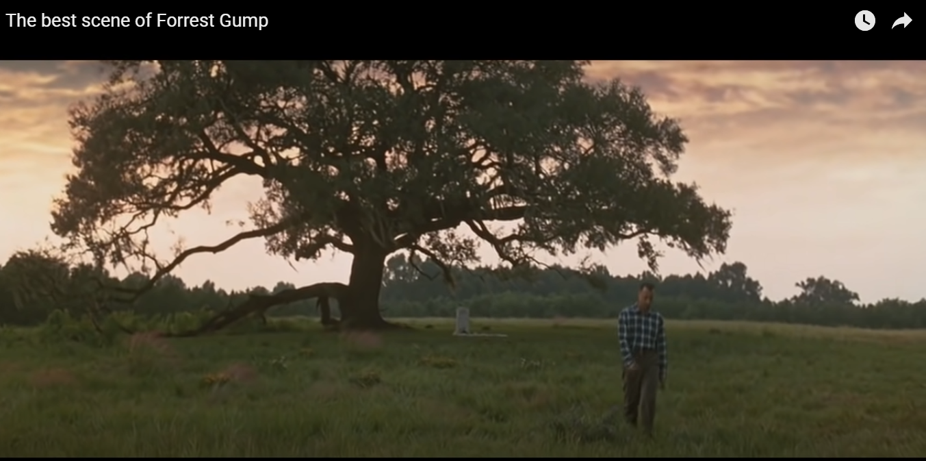 Jenny's Tree - Forest Gump - Oak