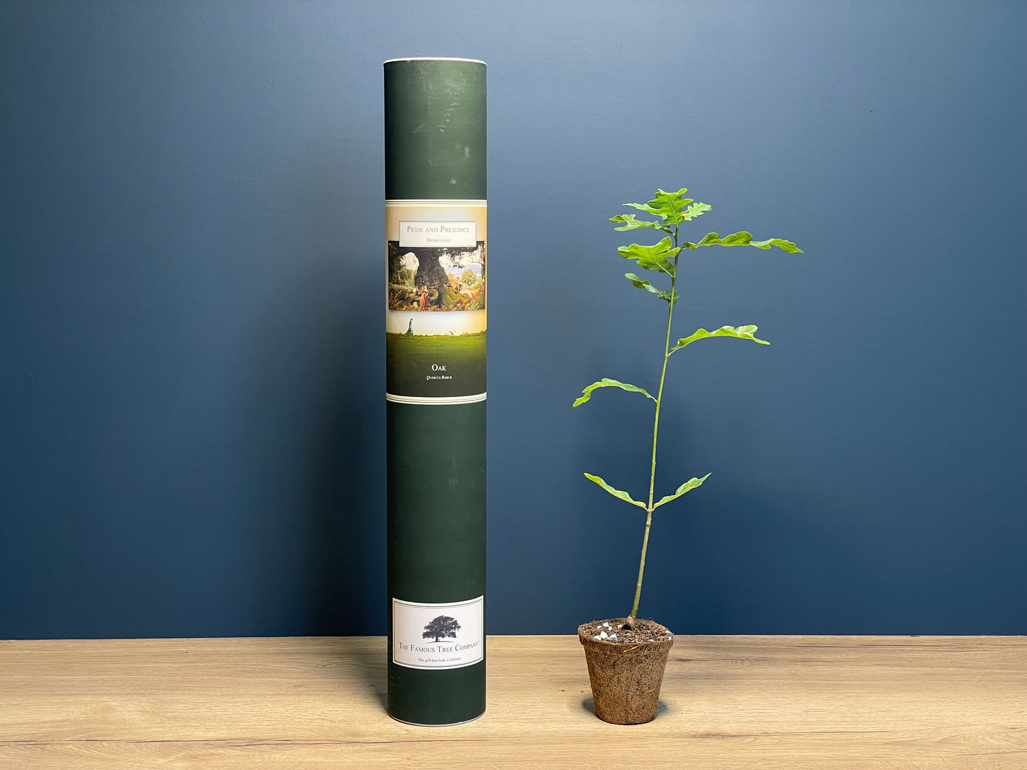 Pride and Prejudice Sapling