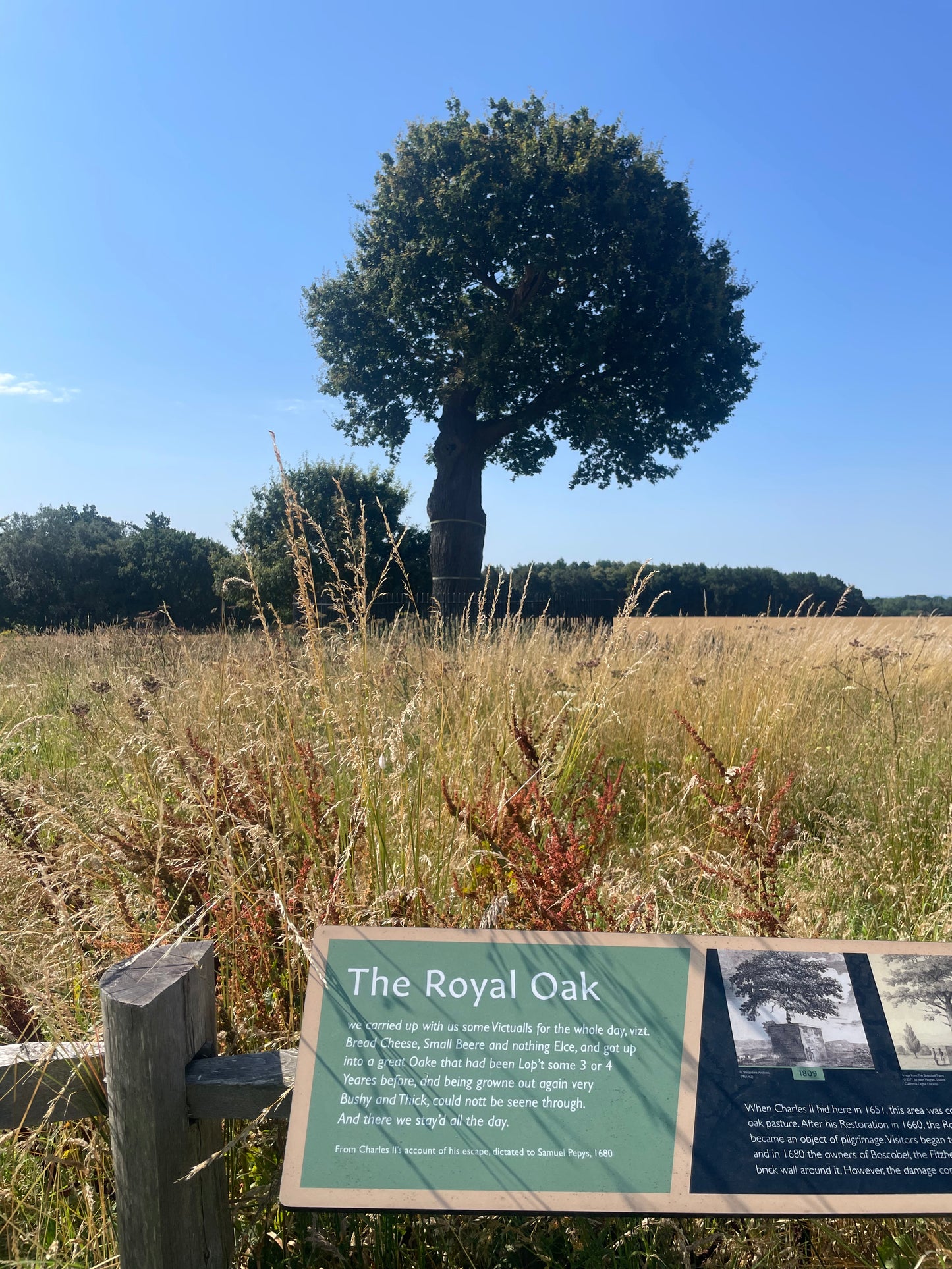 The Royal Oak