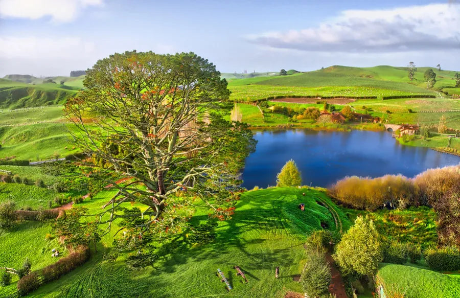 The Party Tree - Hobbiton - Pine