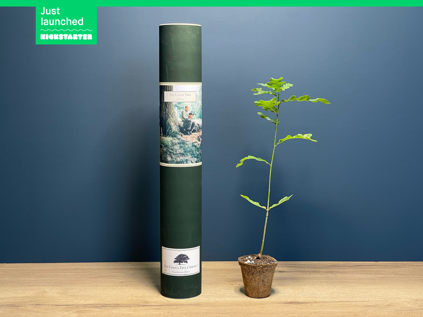 The Lunch Tree - The Detectorists - Oak