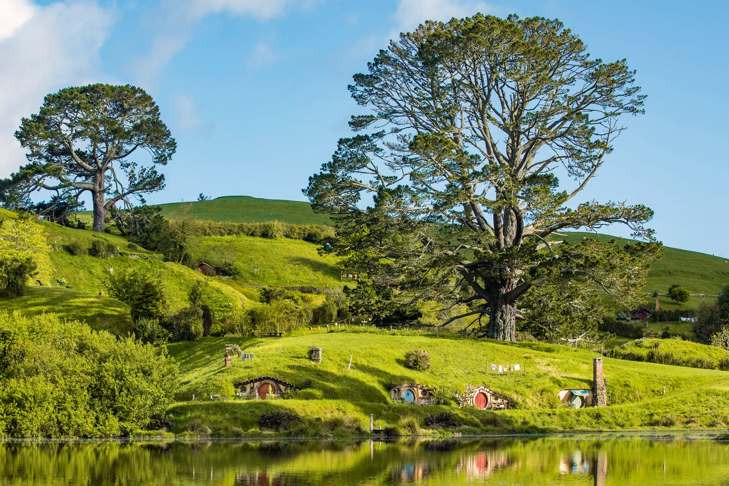The Party Tree - Hobbiton - Pine