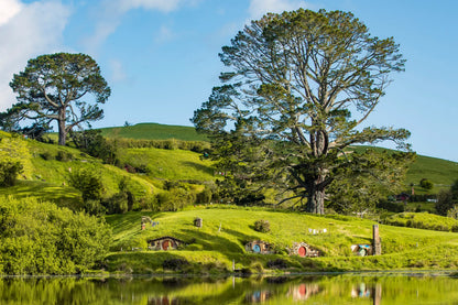 The Party Tree - Hobbiton - Pine