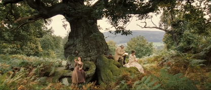 Pride and Prejudice - Oak