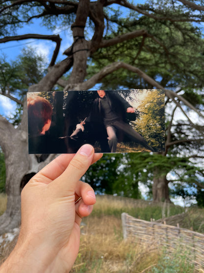 Snape's Worst Memory