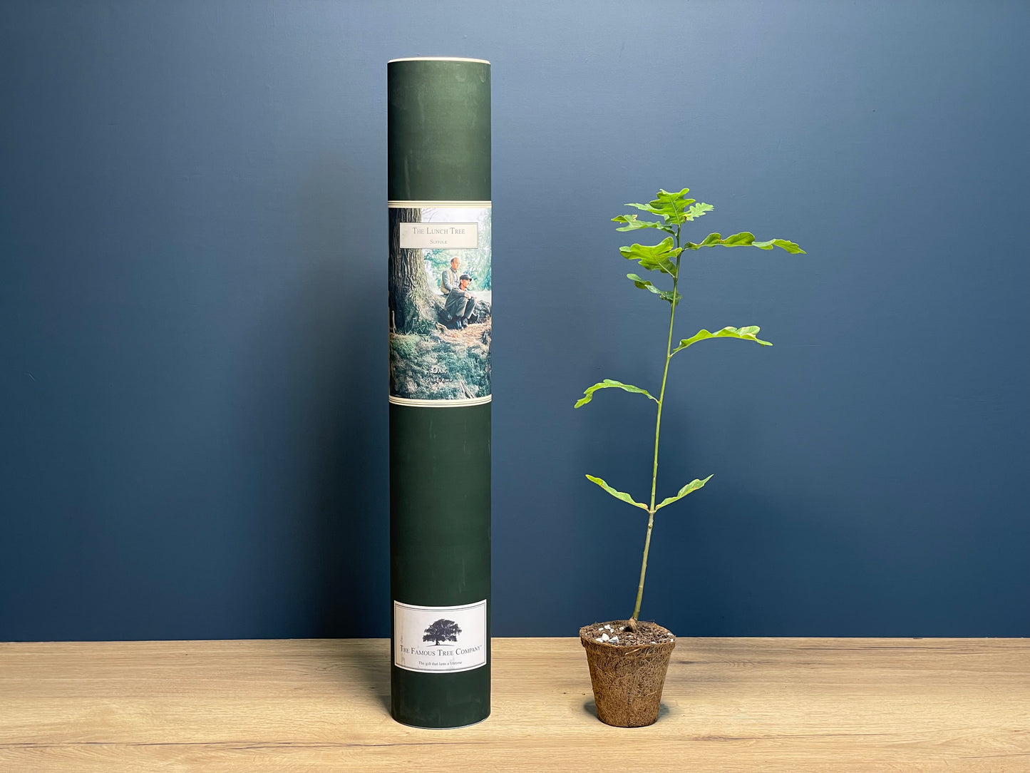 The Lunch Tree -  Detectorists - Oak