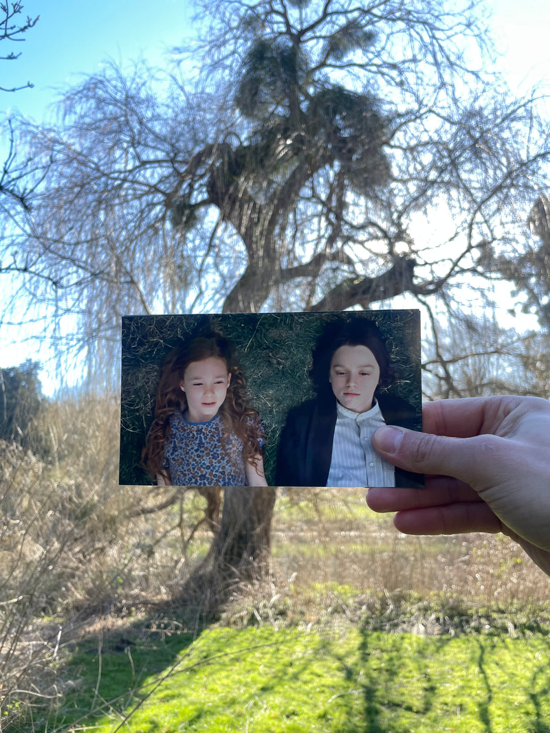 Snape and Lily's Tree - Willow - Harry Potter