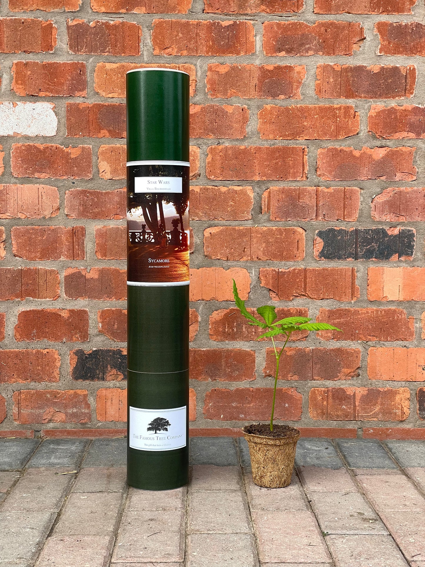 Villa Balbianello - Star Wars - Sycamore
