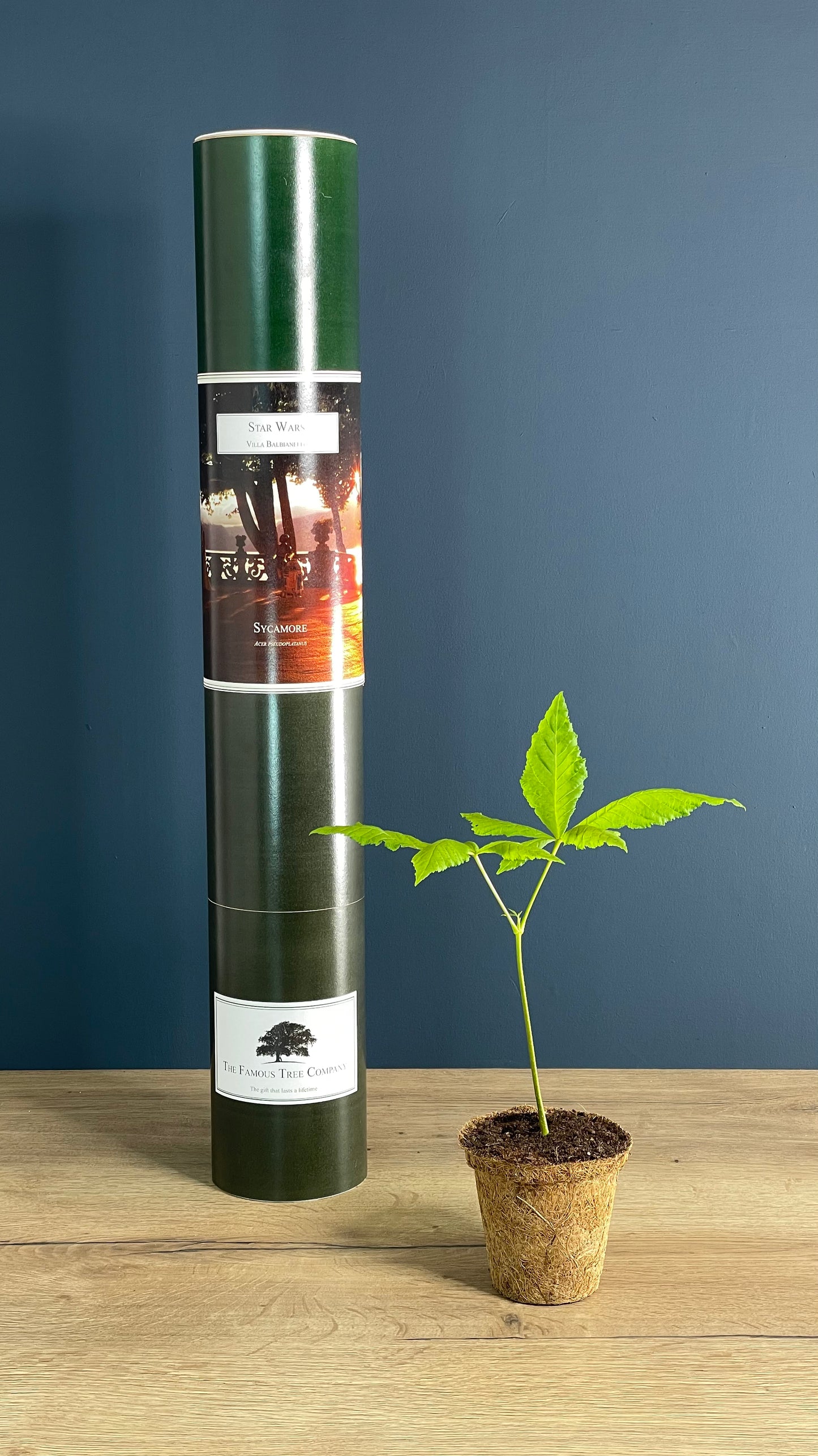 Villa Balbianello - Star Wars - Sycamore