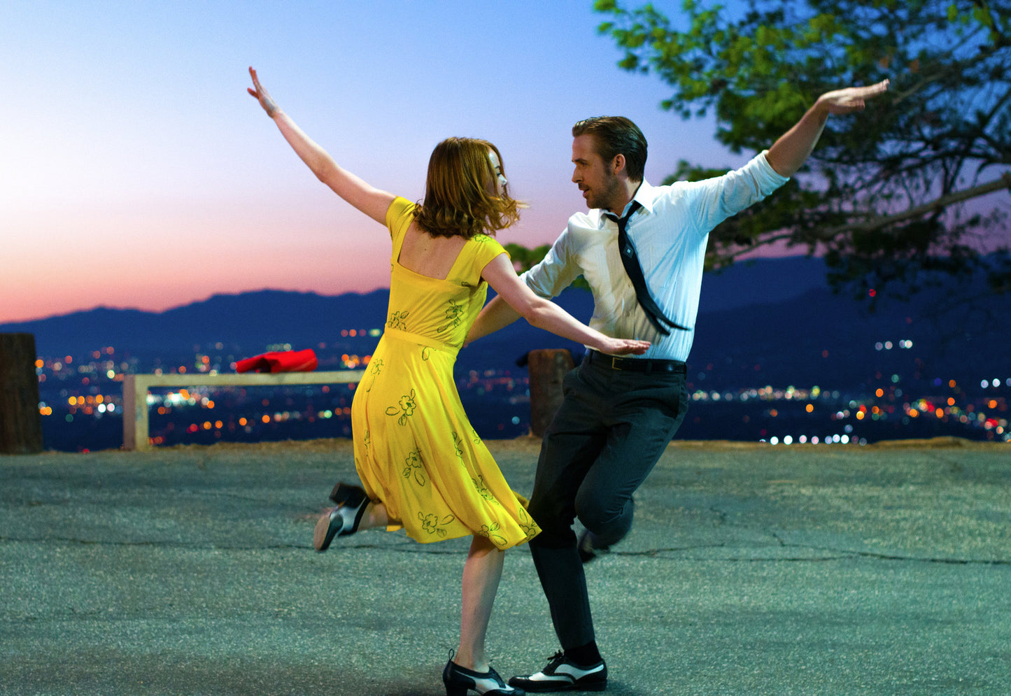 La La Land - Cedar