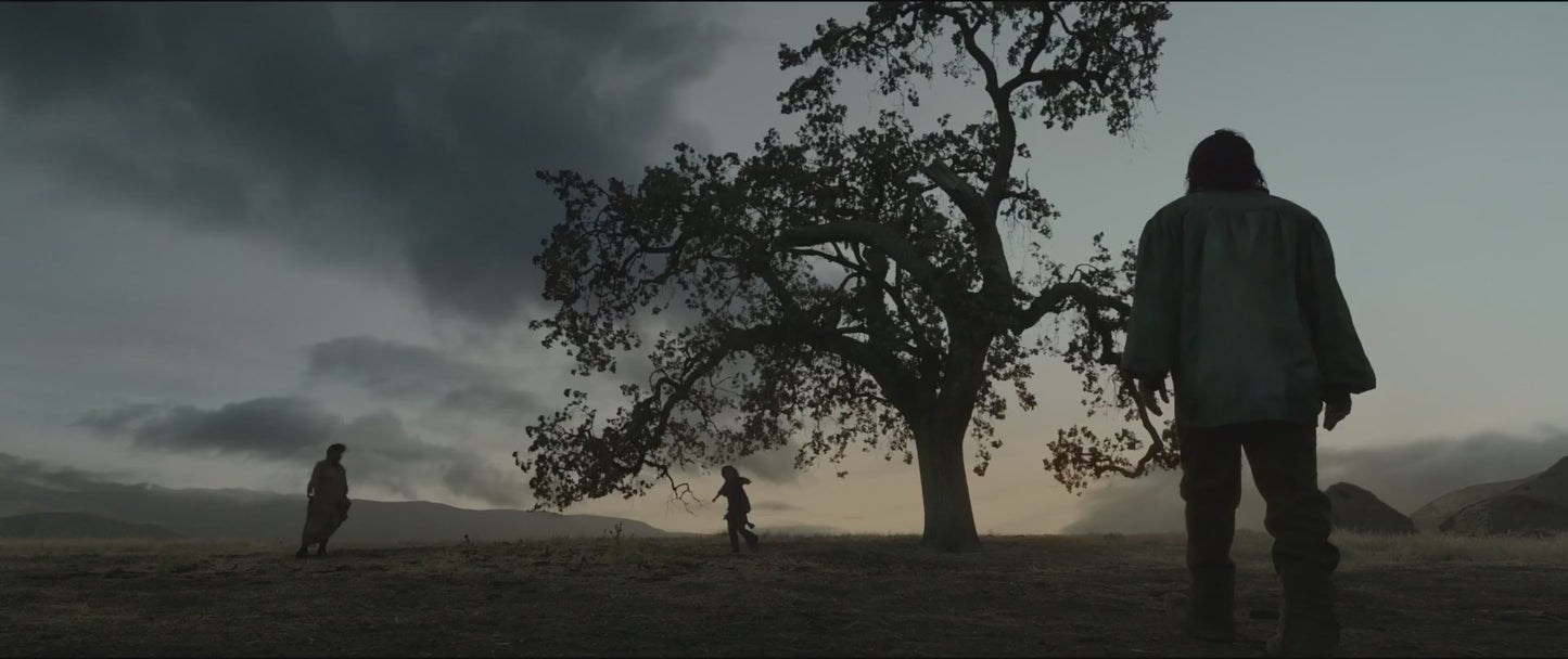 The Revenant - Oak
