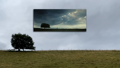 Pride and Prejudice Sapling