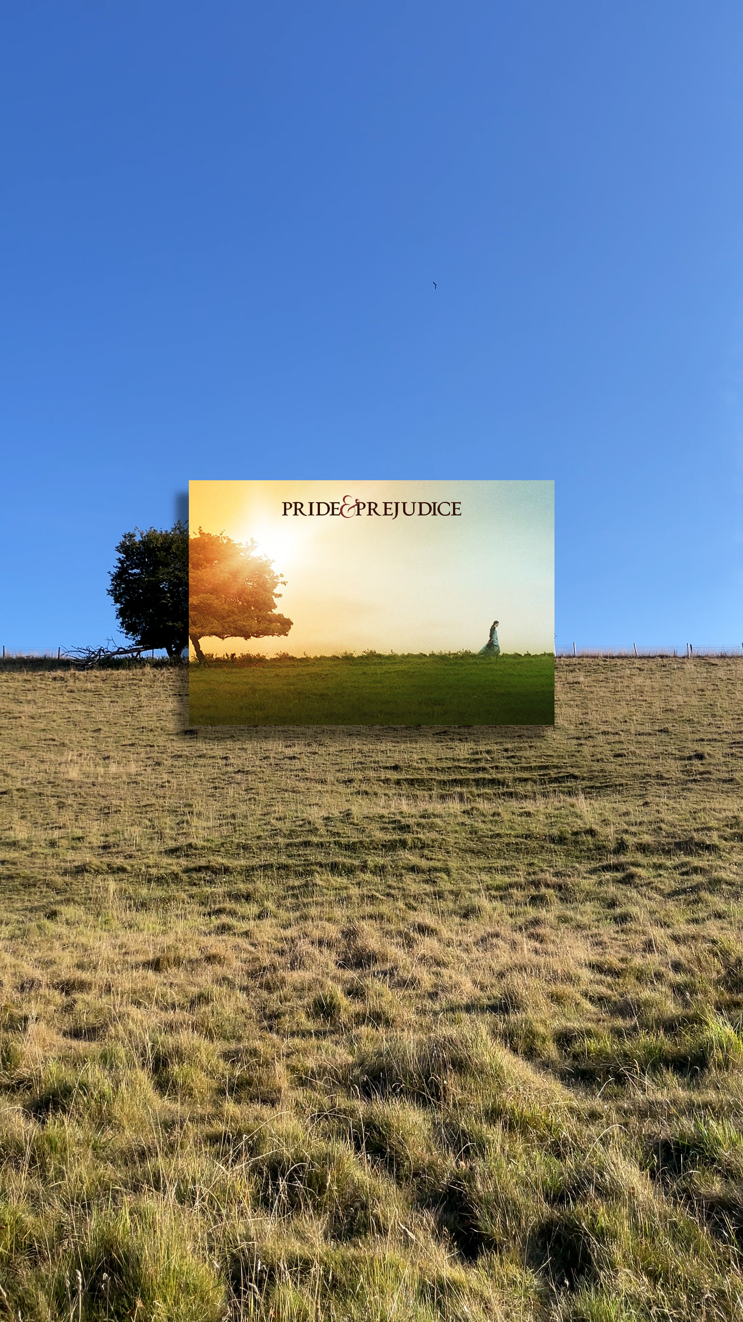 Pride and Prejudice Sapling