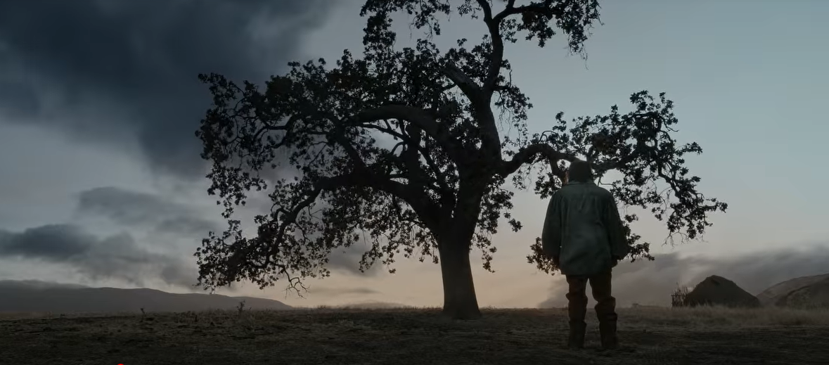 The Revenant - Oak
