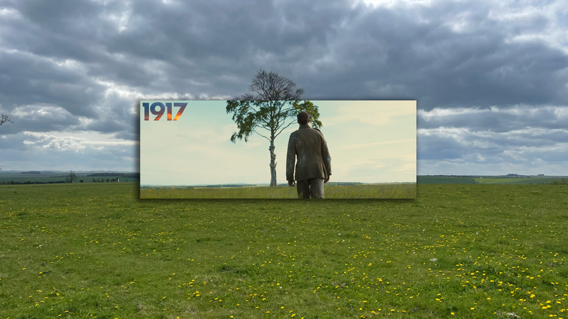 1917 - The Lollipop Tree - Beech