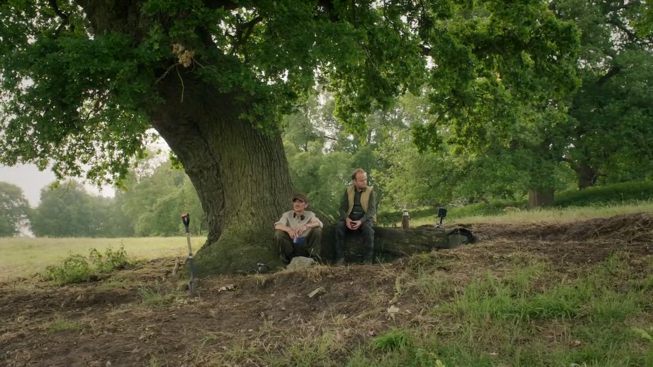 The Lunch Tree -  Detectorists - Oak