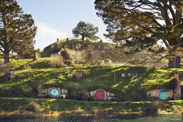 The Party Tree - Hobbiton - Pine