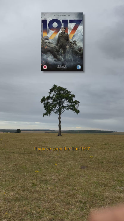 1917 - The Lollipop Tree - Beech