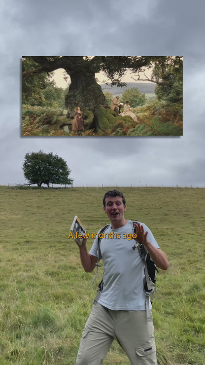 Pride and Prejudice Sapling